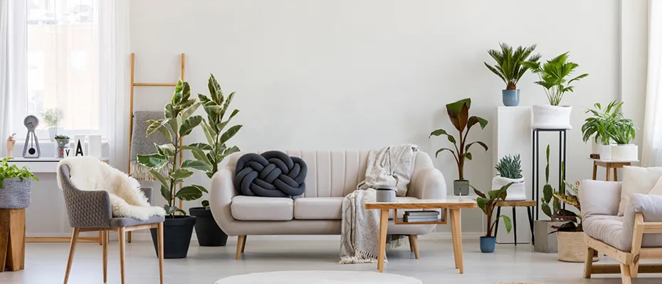 eşya sigortası nedir