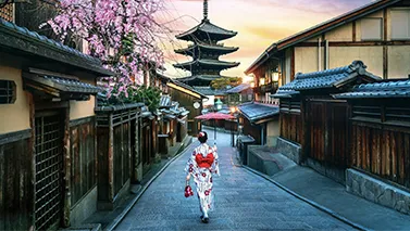 Japonya Vizesi Nasıl Alınır, Şartları Nedir?