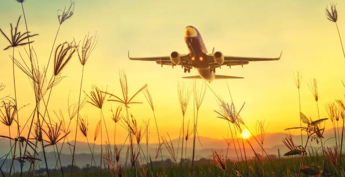 yeşil pasaport nasıl alınır